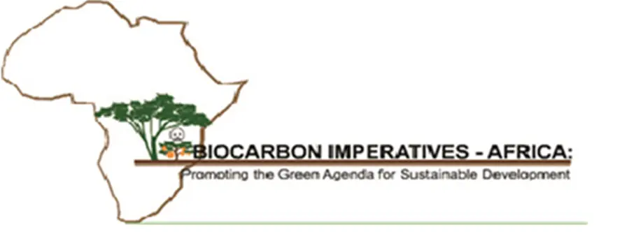 Biocarbon Imperatives-Africa logo